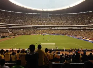 鲁能足球学,校终止免费,青训项目,百家乐网站,百家乐官网,百家乐平台,在线百家乐,真人百家乐,百家乐投注,百家乐直播